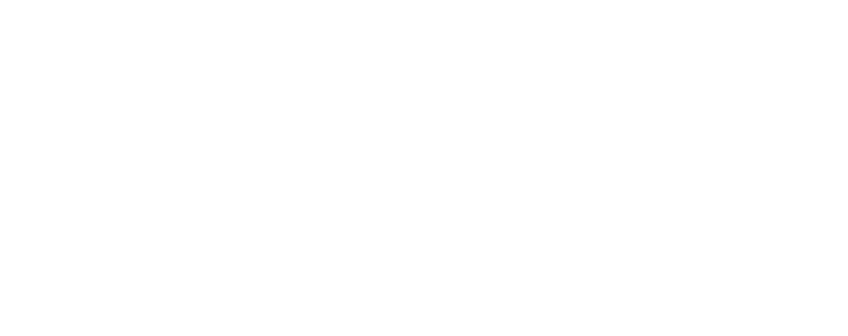 Opdrachtgever van Cyber - review gemeente Haarlem